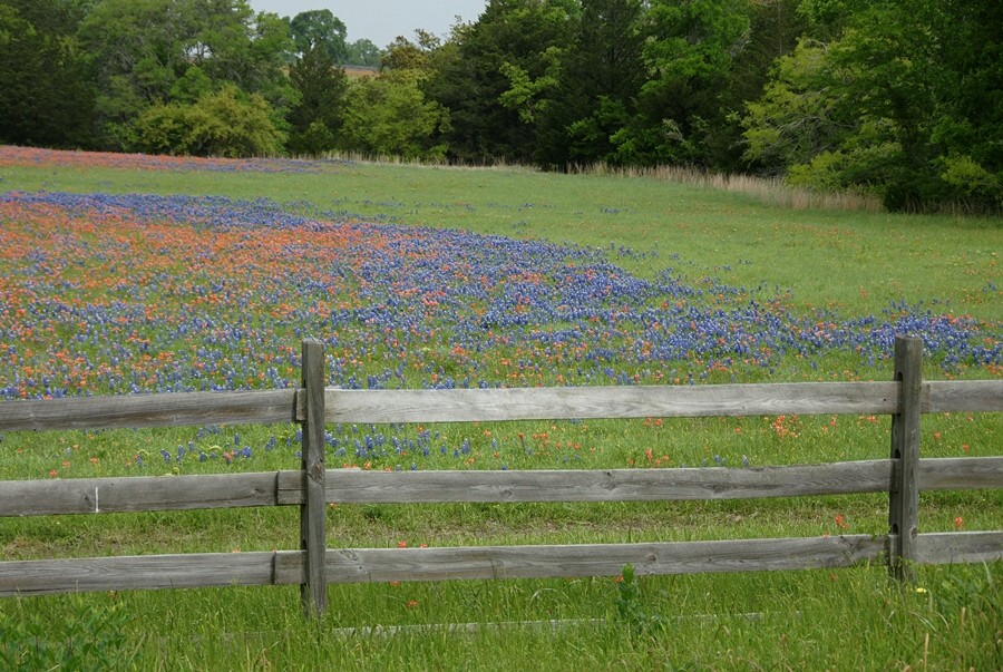 Colorful Mix