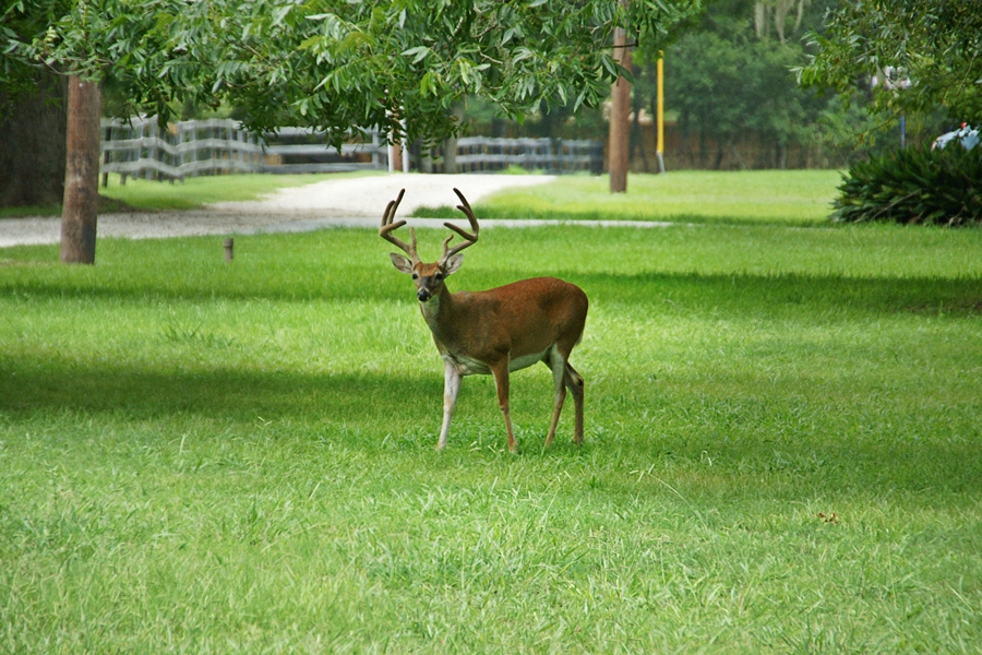 August 4