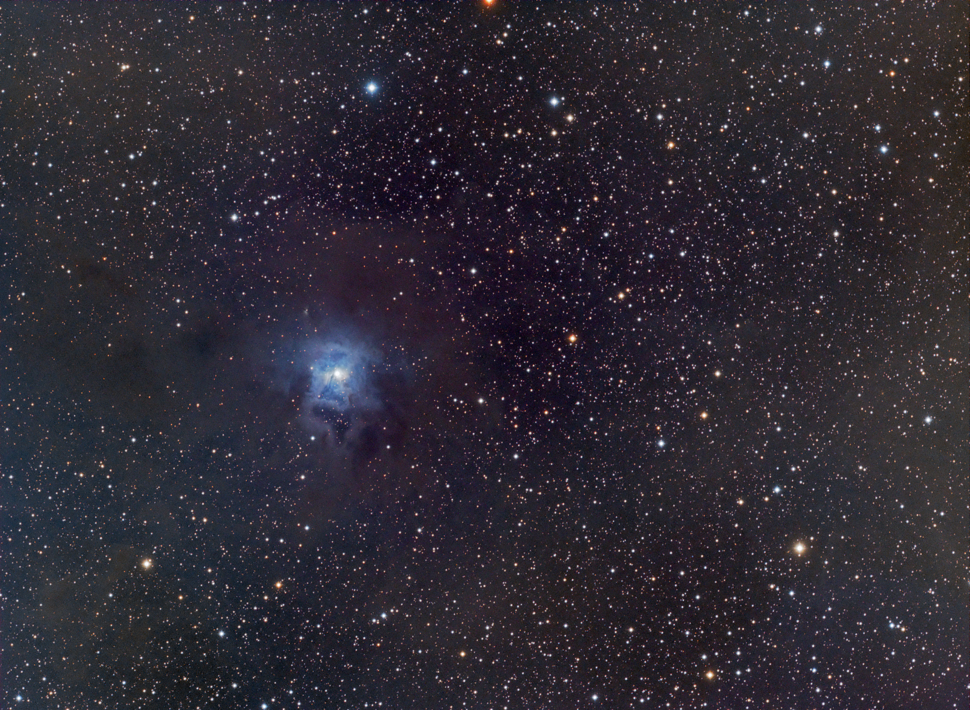 NGC7023 - Iris Nebula