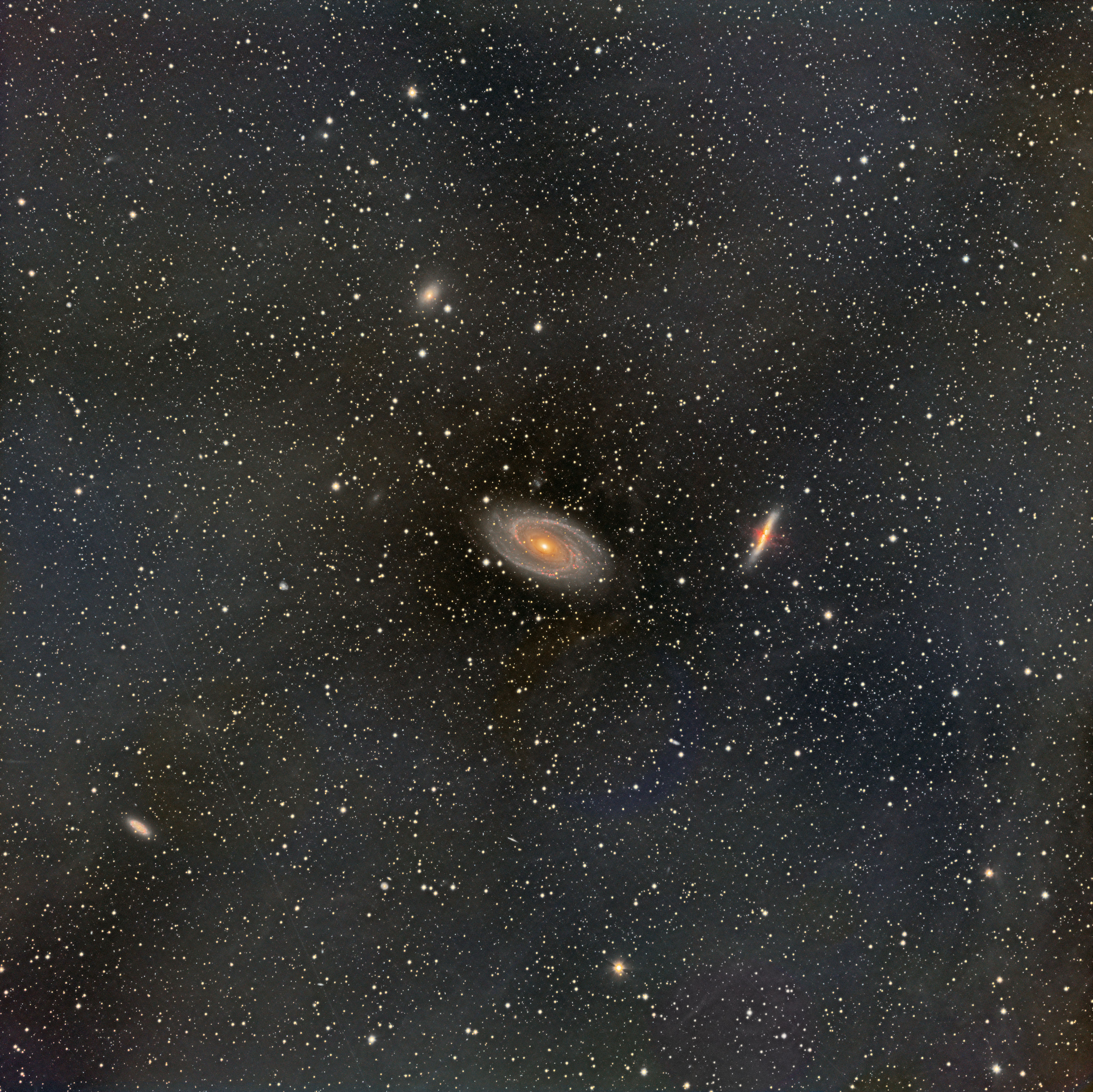 M81 and M82 with IFN