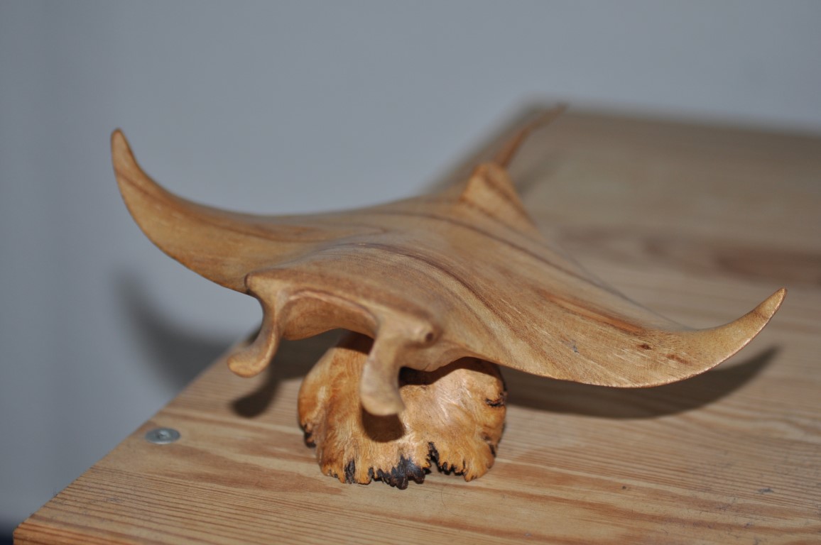 Wooden Manta ray