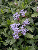 o9/30/1143730/1/153859298.nfHFbbyQ.aa.jpg