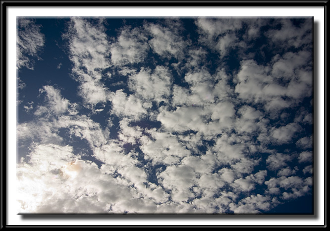 CRW_0126.jpg