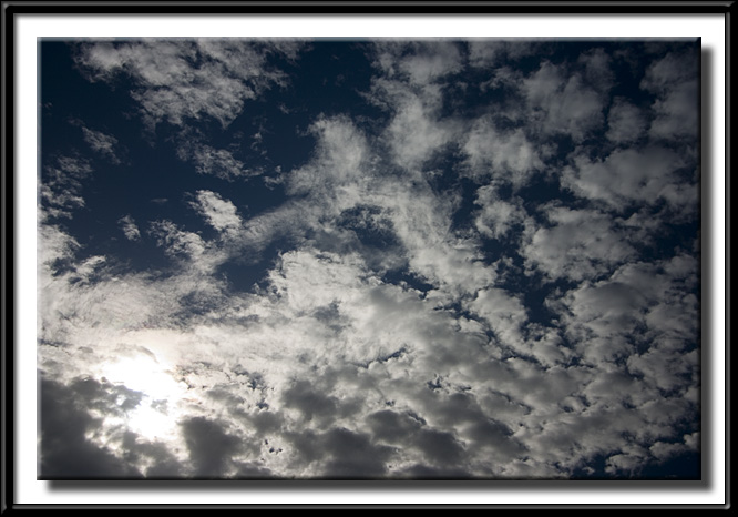 CRW_0137.jpg