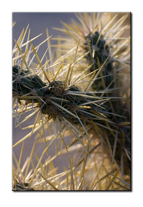 CRW_0171.jpg