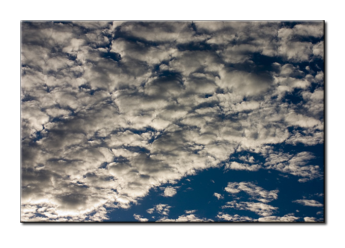 CRW_0187.jpg