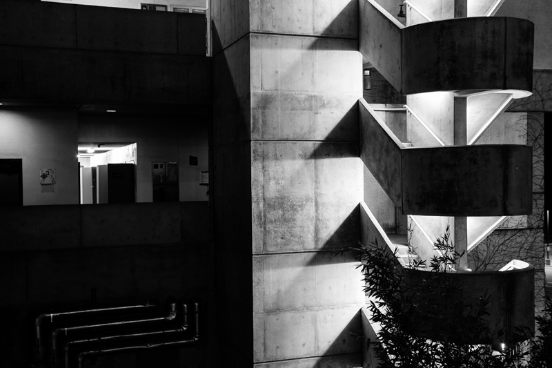 _MG_4328.jpg