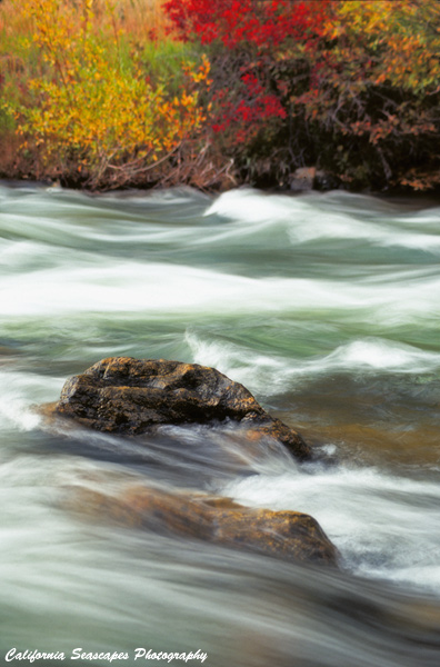 River and Color