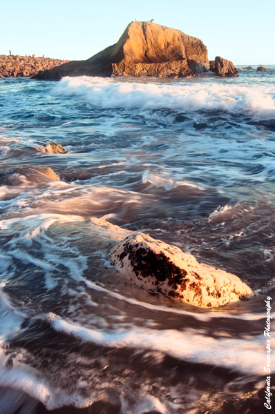 Shores of Dana Point