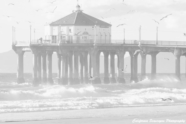Manhattan Pier and Gulls B/W