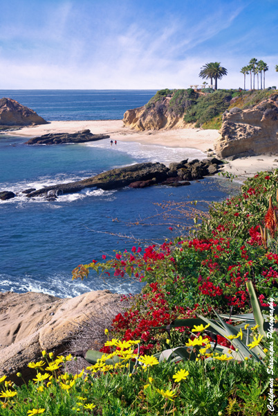 Laguna Flowers Vertical