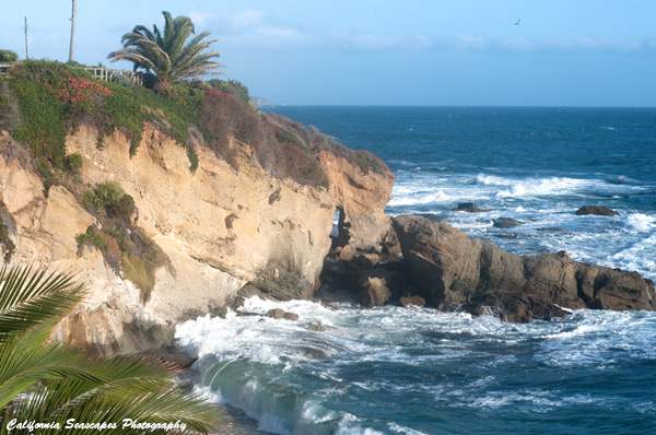 Laguna Coast