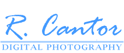 digital photography logo.png