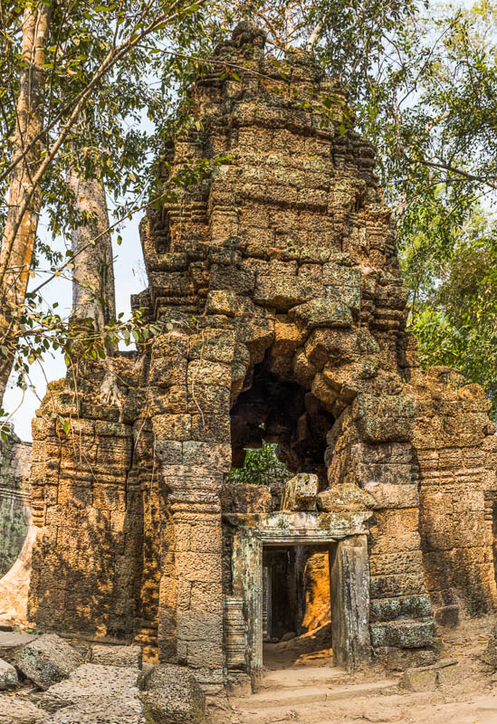 Ta Prohm temple, Siem Reap