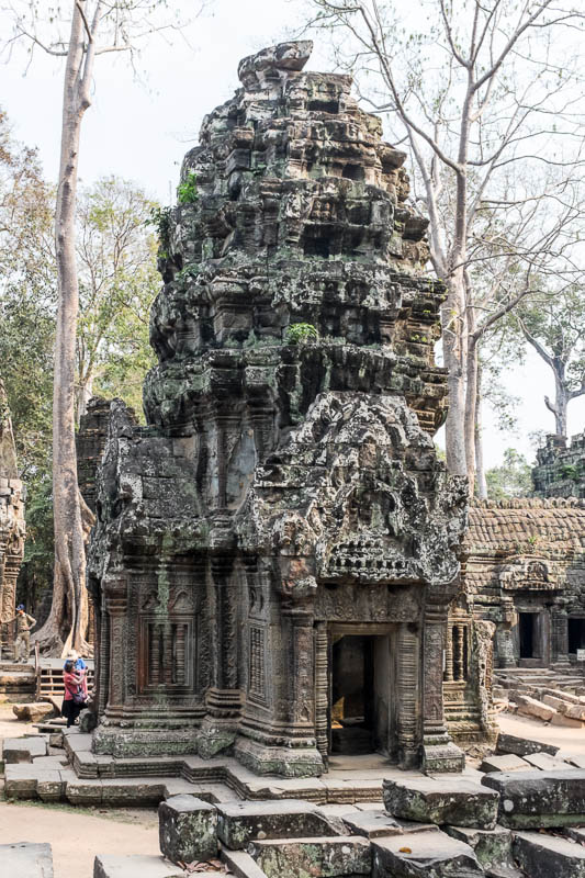 Ta Prohm temple, Siem Reap