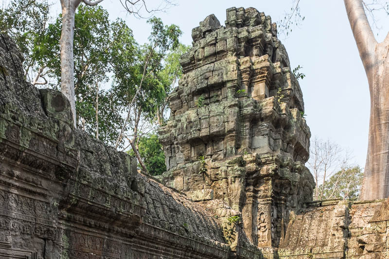 Ta Prohm temple, Siem Reap