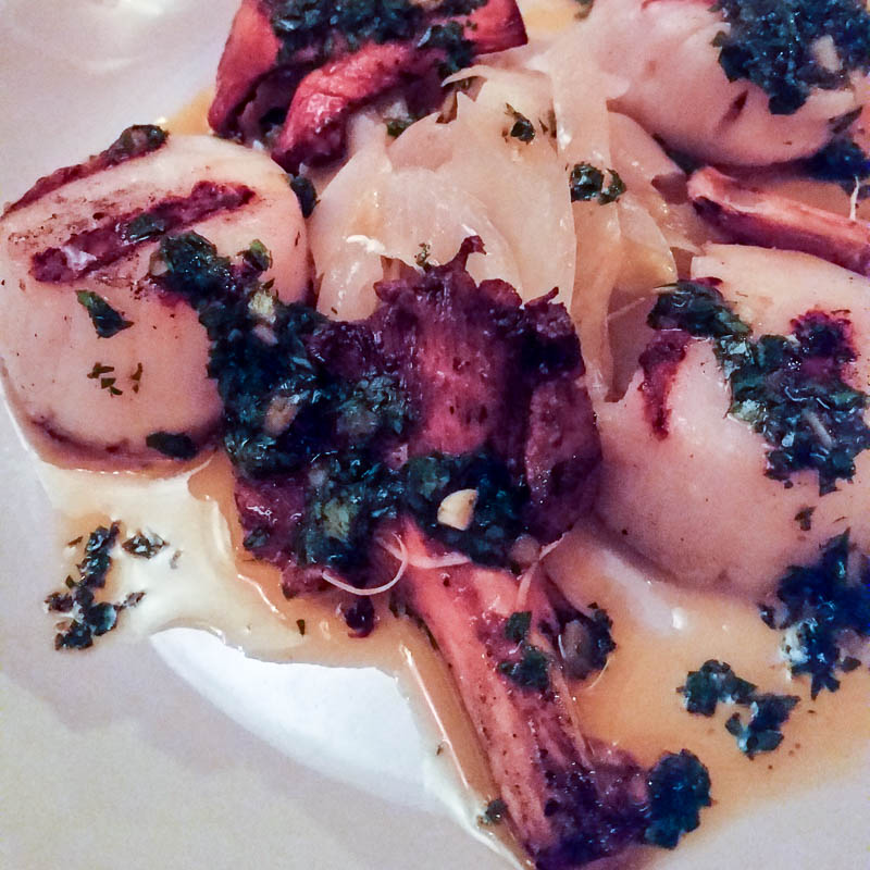 Grilled scallops and chantarelles with endives and chermoula