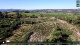 Les oliviers et les vignobles de Venterol près de la maison Bommenel