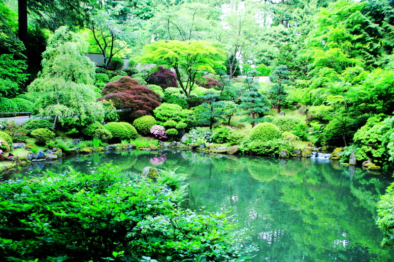 Strolling Pond Garden (chisen kaiyu shiki teien), Japanese Garden,  Portland, Oregon photo - Karthik Raja photos at pbase.com