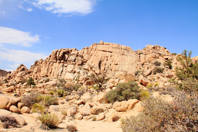 Great Burrito, Rock Climbing, Hidden Valley Nature Walk, Joshua Tree National Park, California