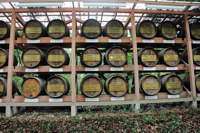 Wine barrels, Meiji Jingū, Shinto Shrine, built 1920, Shibuya, Tokyo, Japan