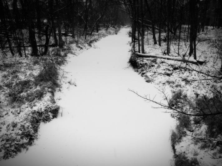 Sleepy Hollow, Creek, Palatine, Winter 2014