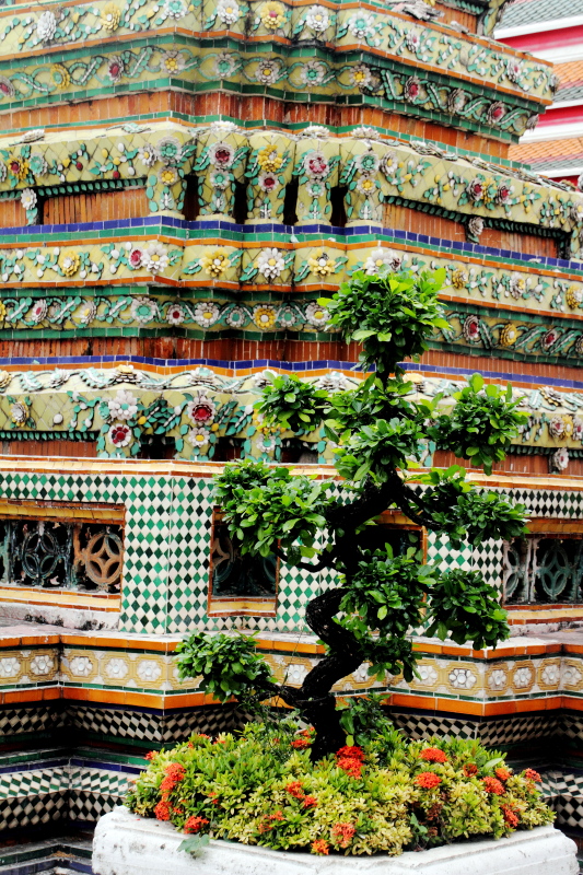 Bonsai plant, Wat Pho, Temple of the Reclining Buddha