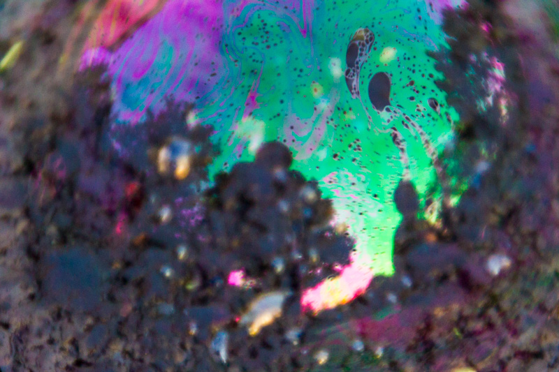 Living in a bubble, Summer 2014