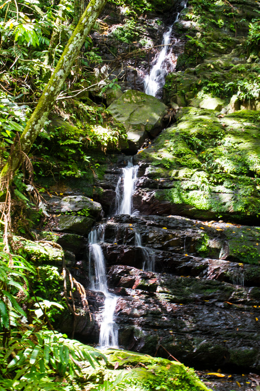 Waterfalls, El Yunque National Rainforest, Puerto Rico