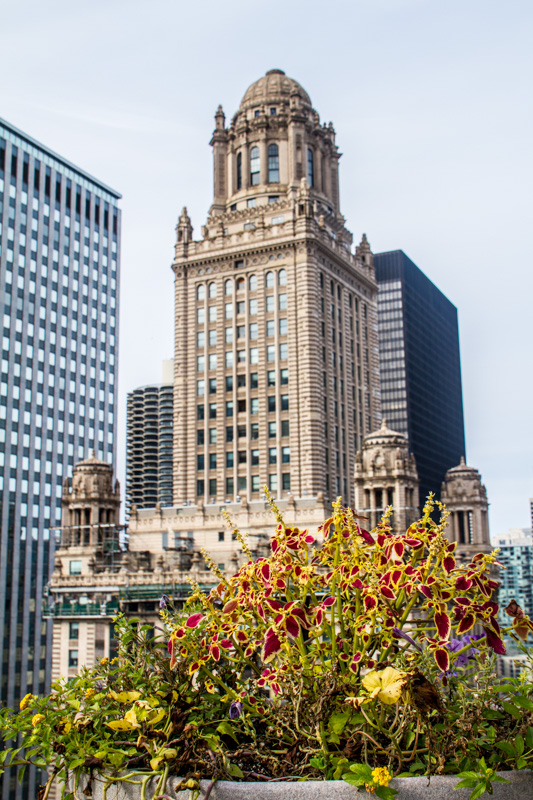 Jewelers Building, from MDA City Apartments, Open House Chicago 2014