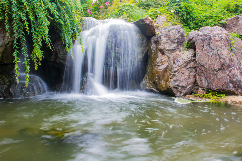 Waterfall Garden, Chicago Botanic Garden, Glencoe, IL