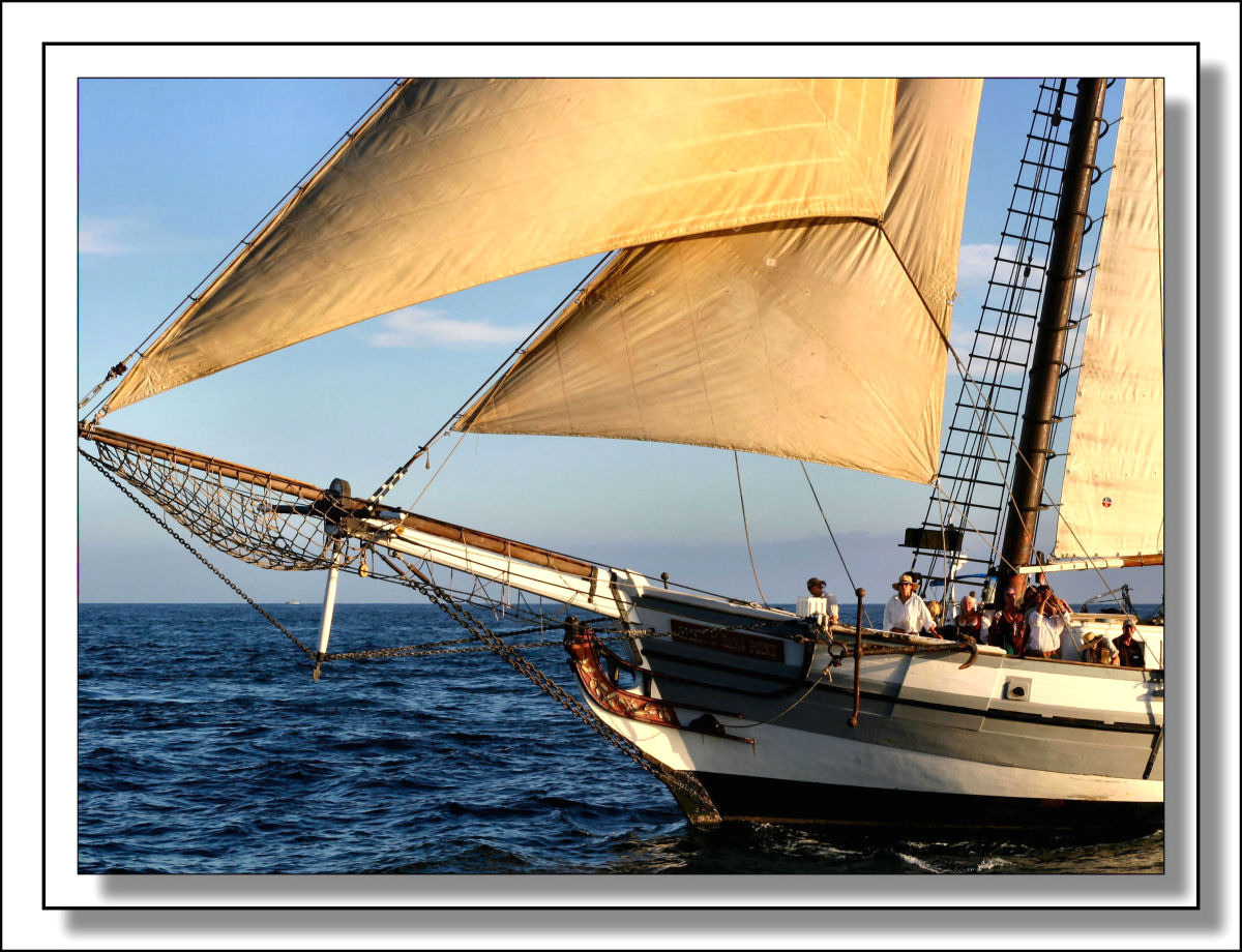 Dana Point - Sailing