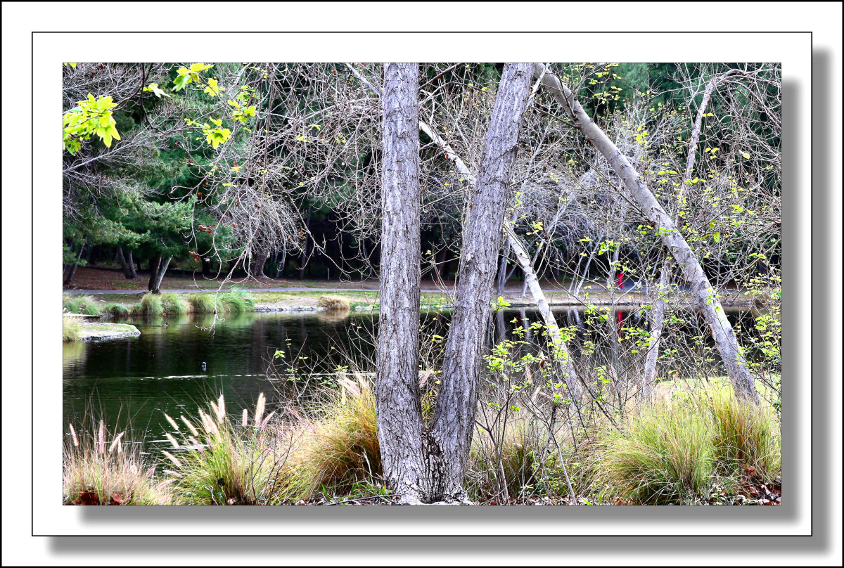 Yorbal Linda Regional Park