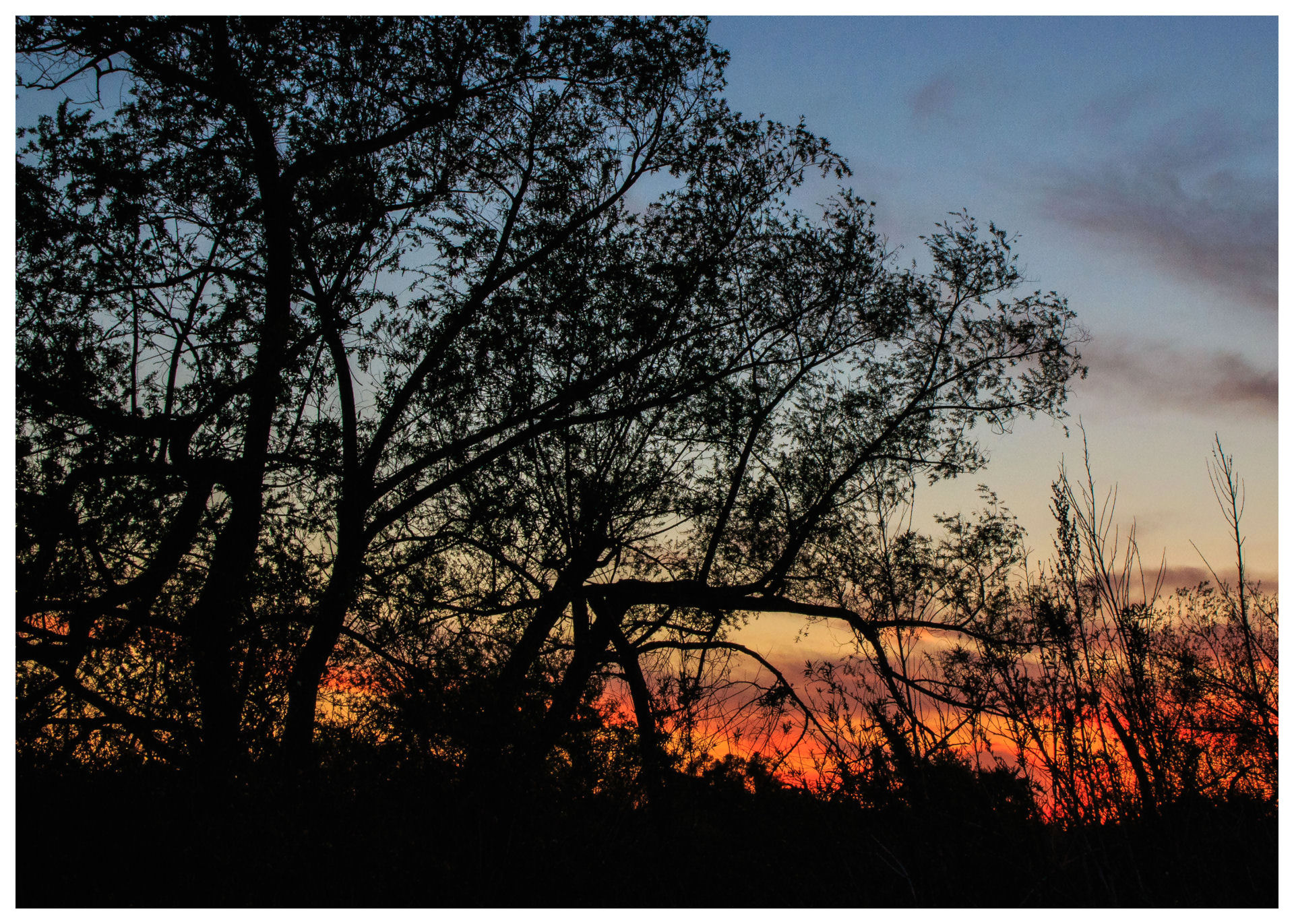 Peters Canyon Sunset