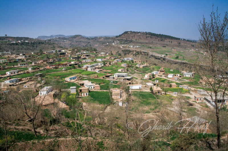Kotli Sulwan