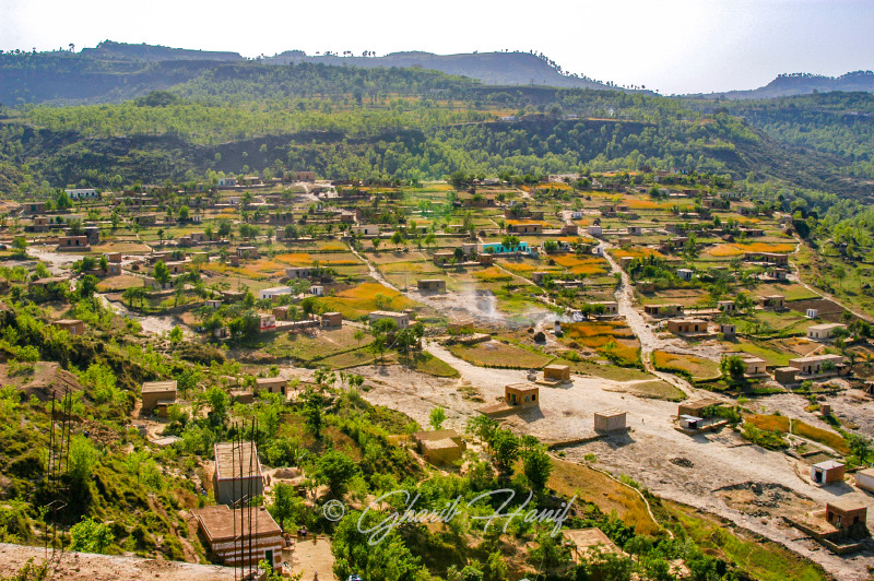 Refugee settlement