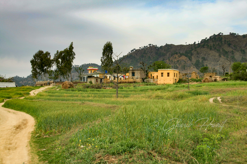 Village