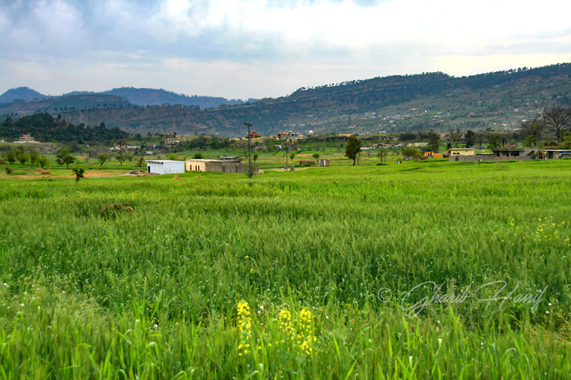 Village