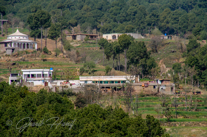 Houses
