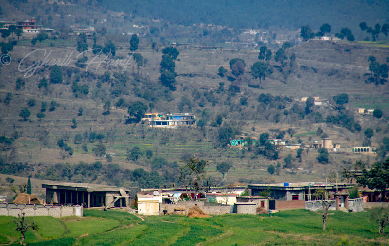 Village