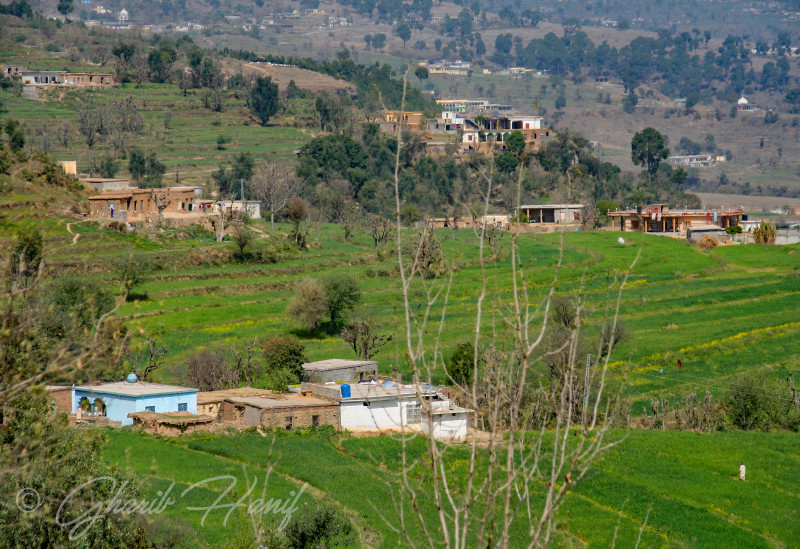 Village