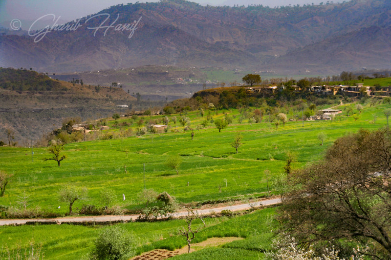Village