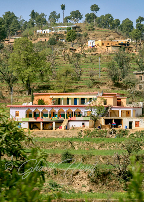 Houses