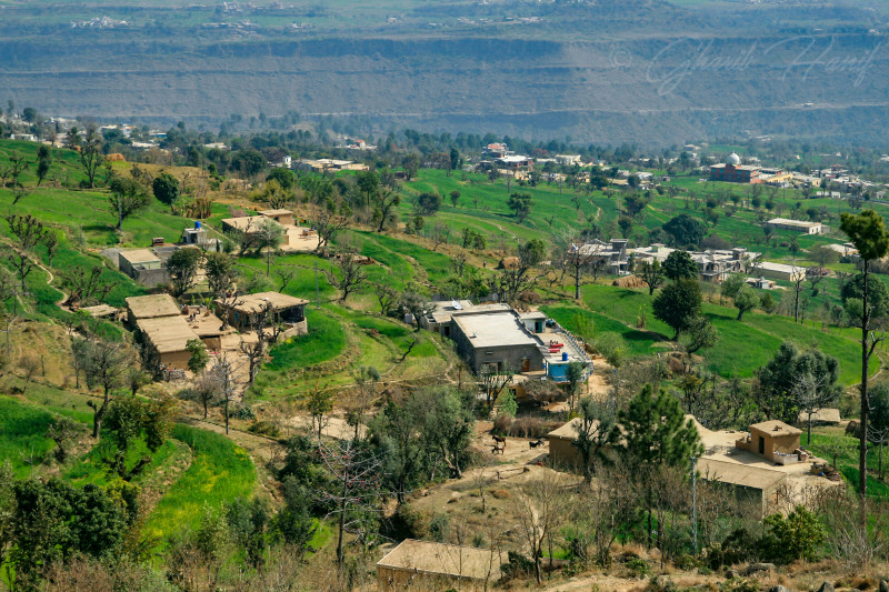 Village