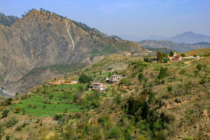 Village