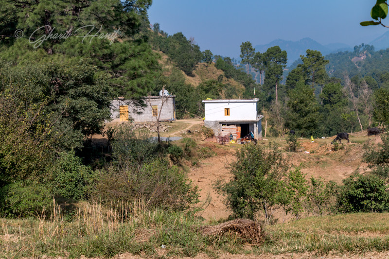 Village