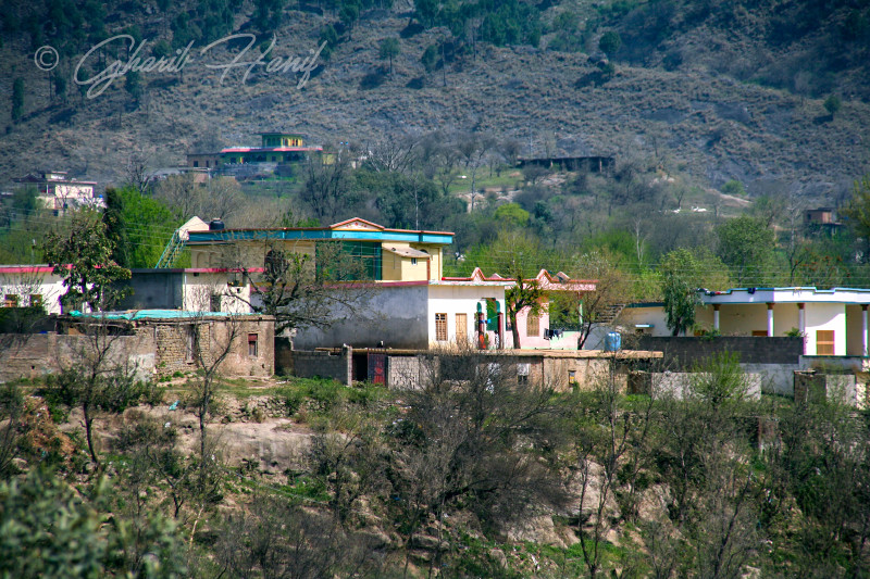 Village