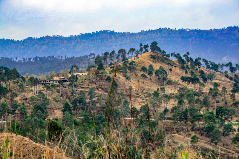 Village