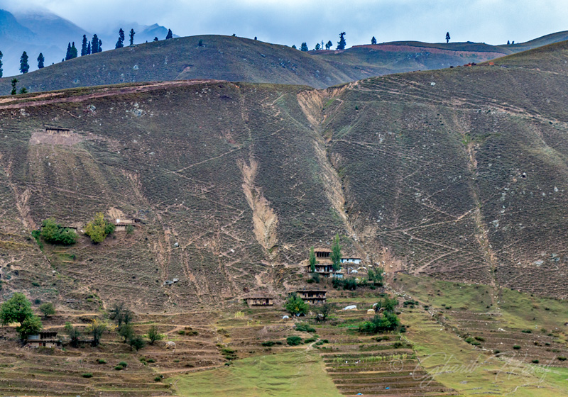 Village