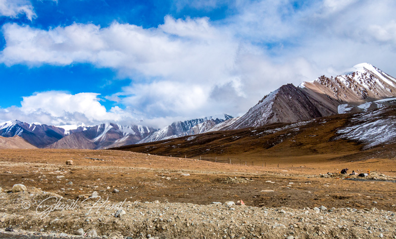 Mountains